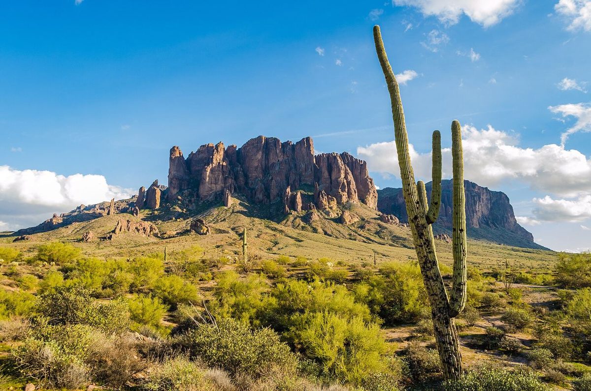 A saguaro in front of the Superstition Mountains east of Phoenix